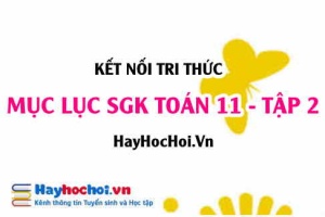 Mục lục SGK Toán 11 tập 2 Kết nối tri thức - Lý thuyết và bài tập Toán 11 tập 2 Kết nối tri thức